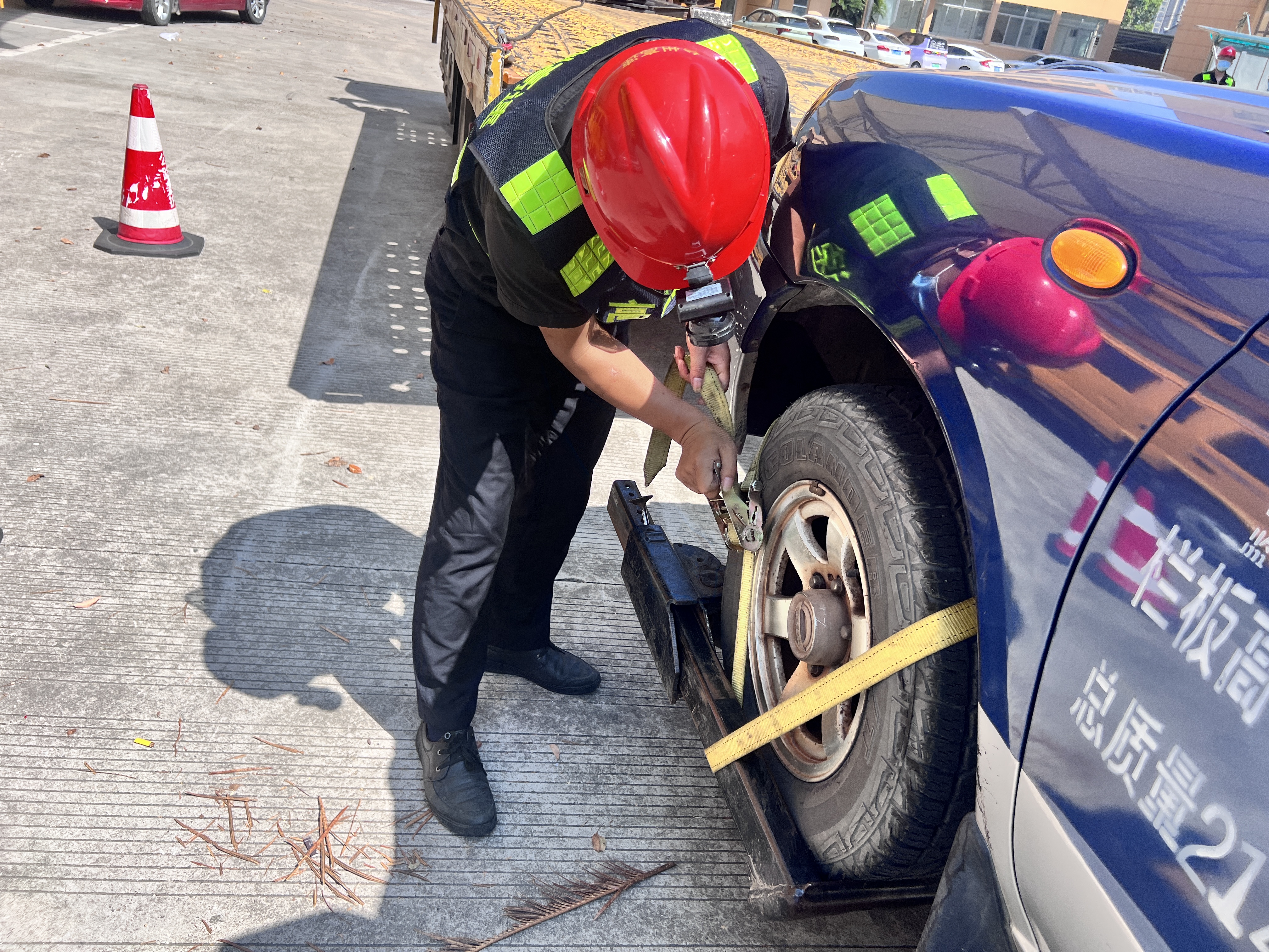 1667554361225694.jpg 林夢灑.jpg